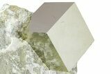 Pristine Pyrite Cube In Rock - Navajun, Spain #361813-1